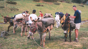 Ceillac_anes